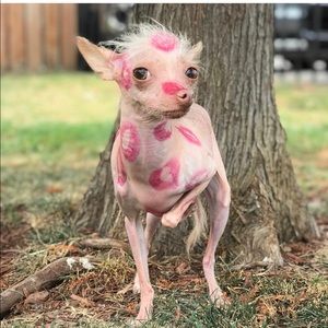 Meet your Posher, Isabel